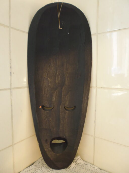 Masker Schildpad