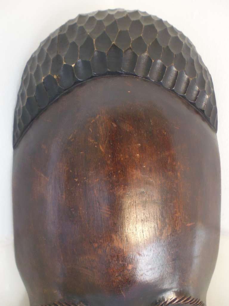 Curiosa en Kunst.nl