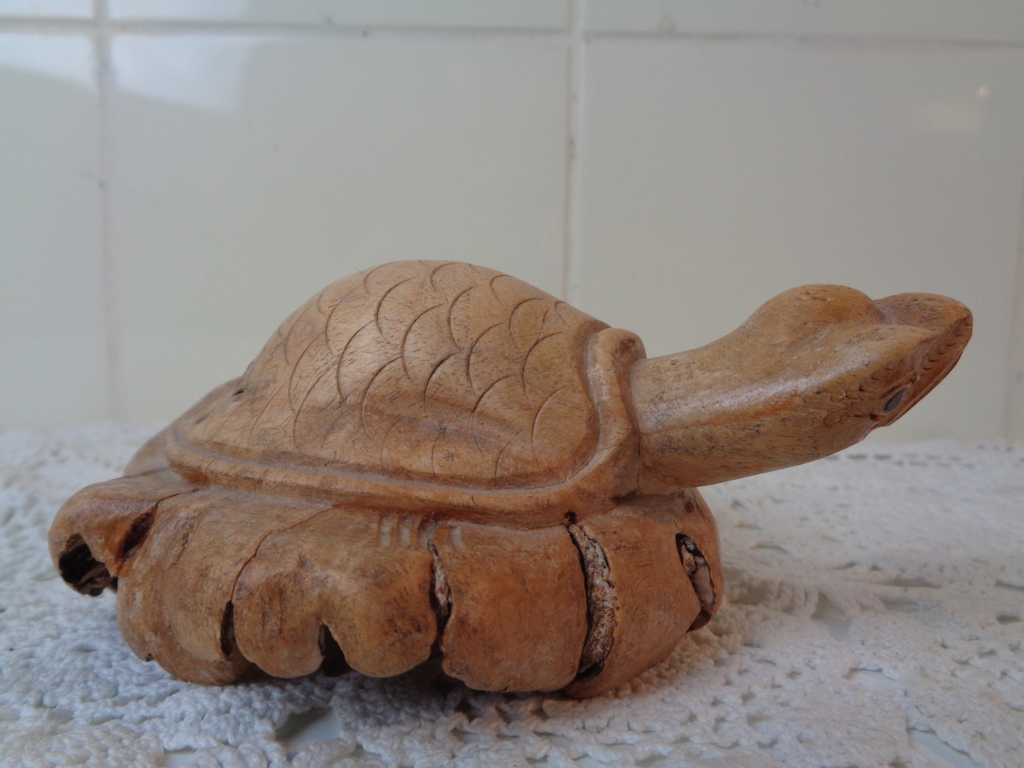 Houten Schildpad