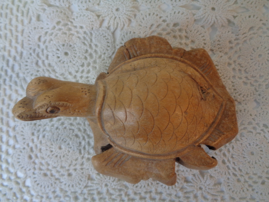 Houten Schildpad