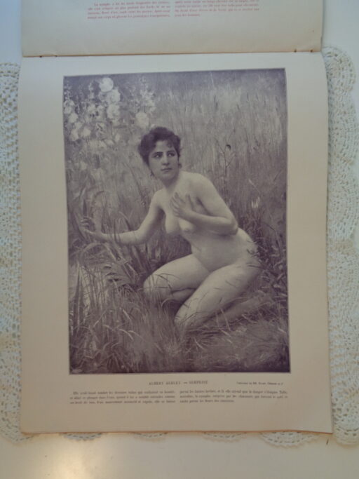 Le PANORAMA Salon 1896 nummer 9