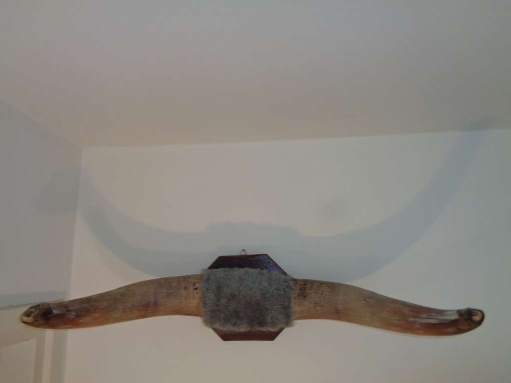Curiosa en Kunst.nl
