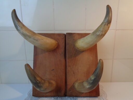 Hoorns op houten panelen
