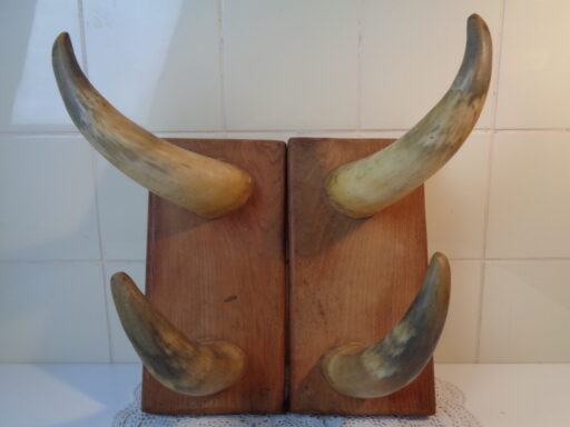Hoorns op houten panelen