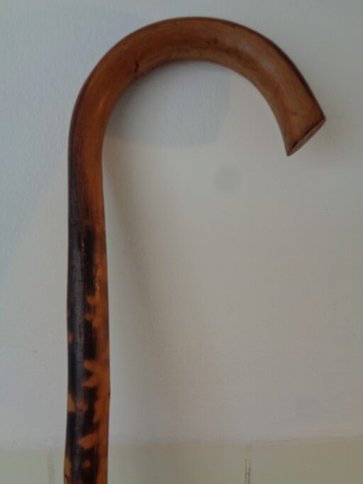 Collectie wandelstokken uit grootmoeders tijd