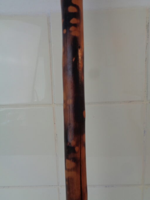 Collectie wandelstokken uit grootmoeders tijd