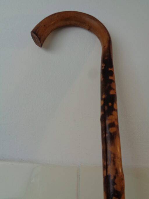 Collectie wandelstokken uit grootmoeders tijd