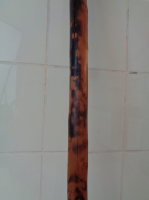 Collectie wandelstokken uit grootmoeders tijd