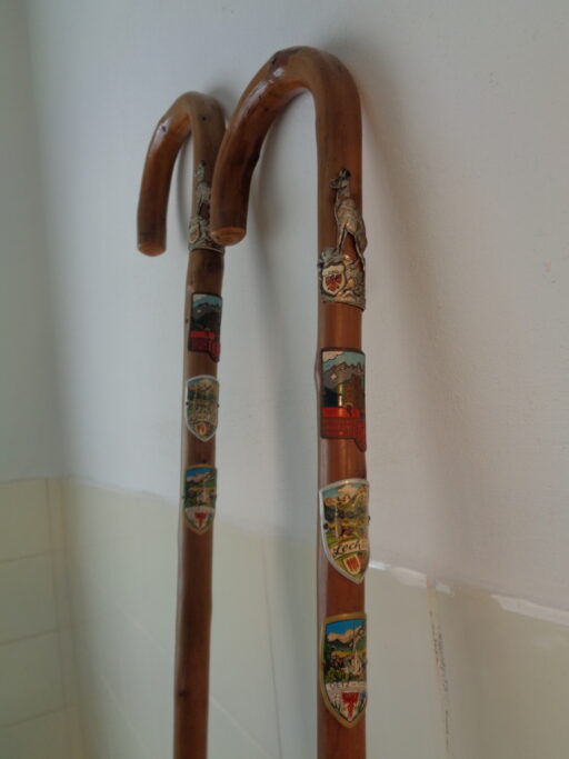 Collectie wandelstokken uit grootmoeders tijd