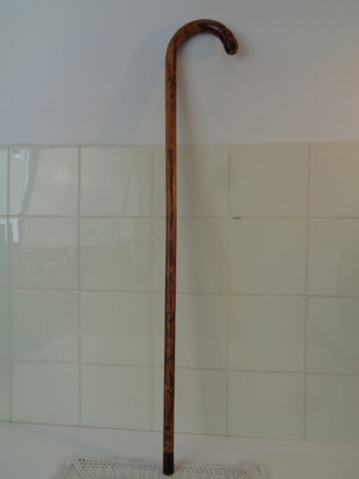 Collectie wandelstokken uit grootmoeders tijd