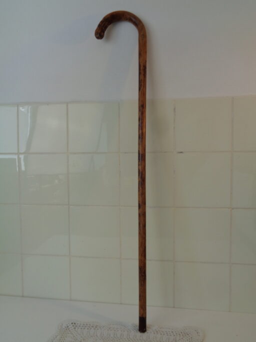 Collectie wandelstokken uit grootmoeders tijd