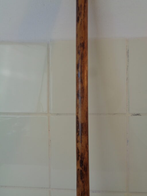 Collectie wandelstokken uit grootmoeders tijd