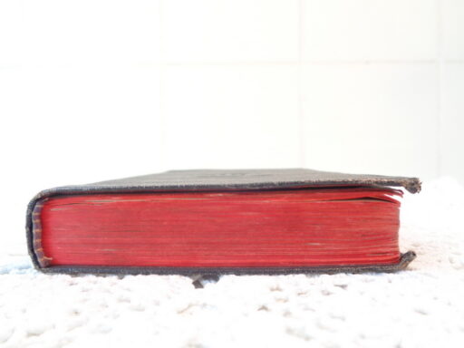 Salve Regina Handboek uit 1927
