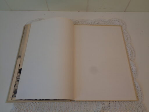 Het aanzien van 1964