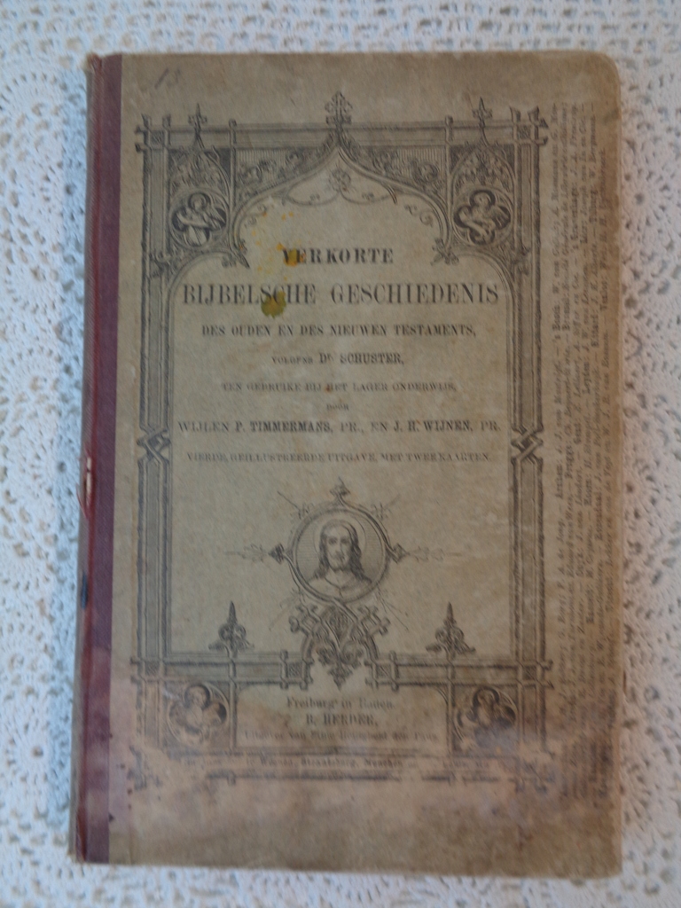 Verkorte Bijbelsche geschiedenis 1889