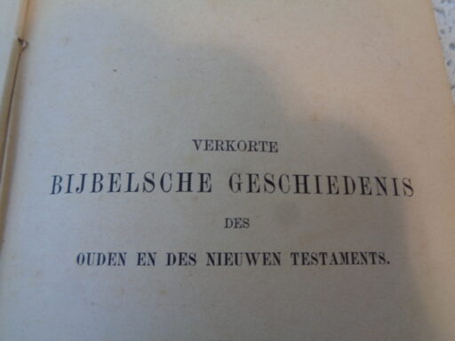 Verkorte Bijbelsche geschiedenis 1889