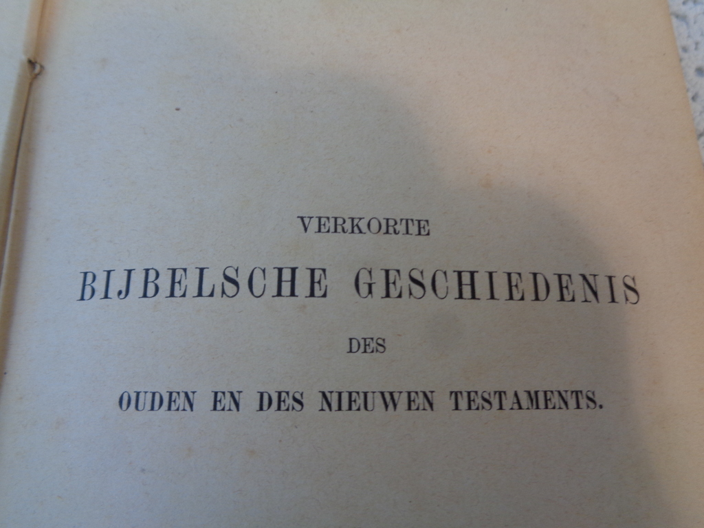 Verkorte Bijbelsche geschiedenis 1889