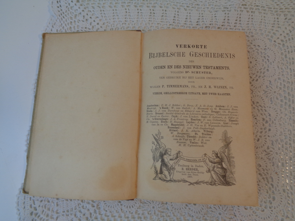 Verkorte Bijbelsche geschiedenis 1889