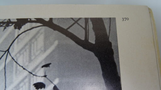 Het gouden prentenboek van O en W