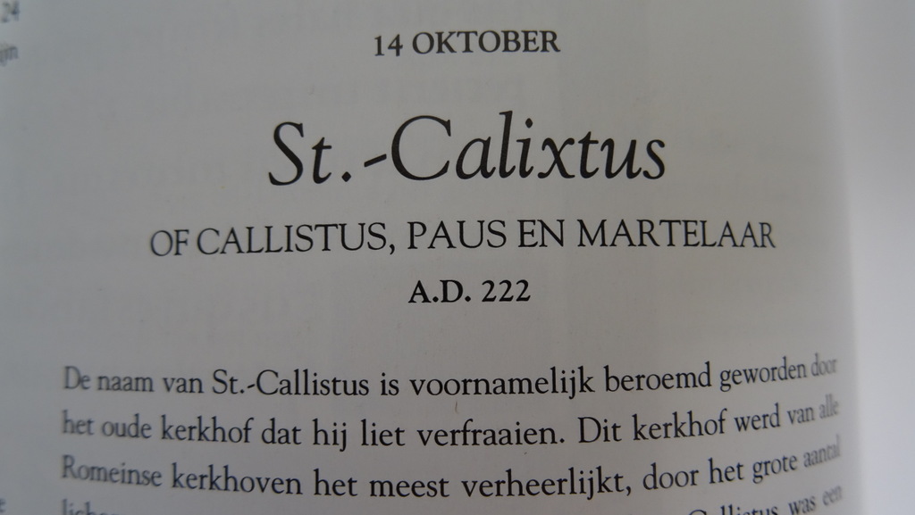 Heiligen levens Alan Butler 1995