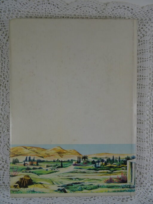 Boek De man van Nazareth