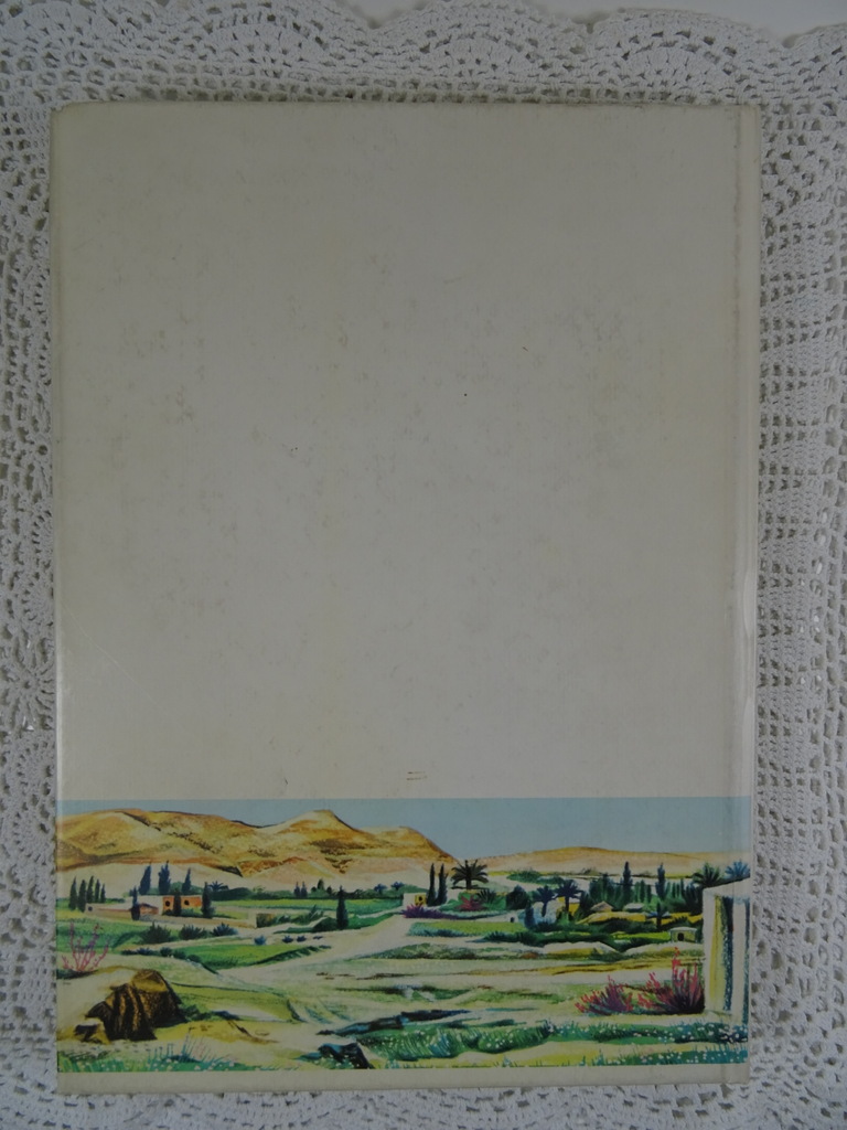 Boek De man van Nazareth