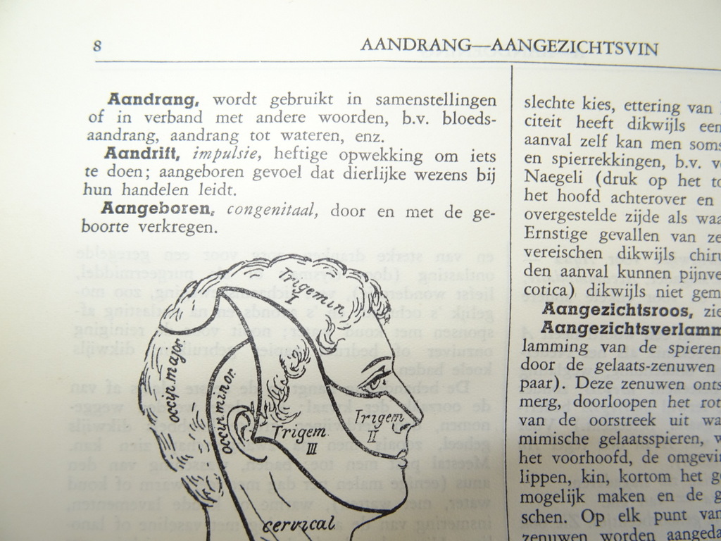 Populaire geneeskundige encyclopaedie - Afbeelding 13