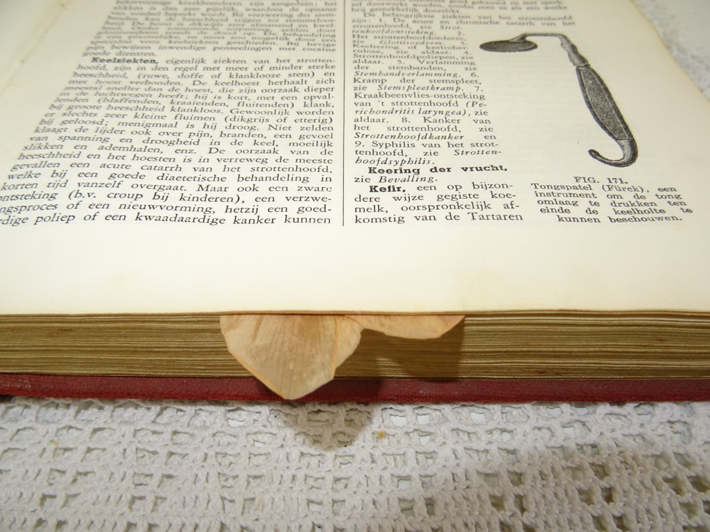Populaire geneeskundige encyclopaedie - Afbeelding 30
