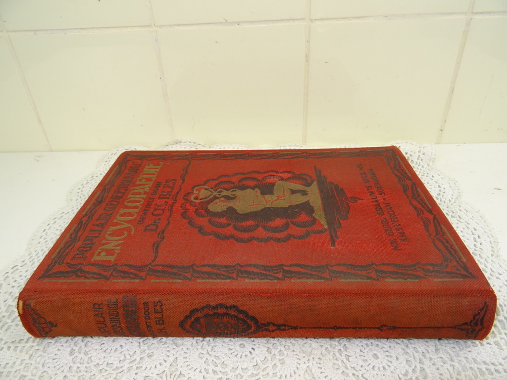 Populaire geneeskundige encyclopaedie - Afbeelding 34