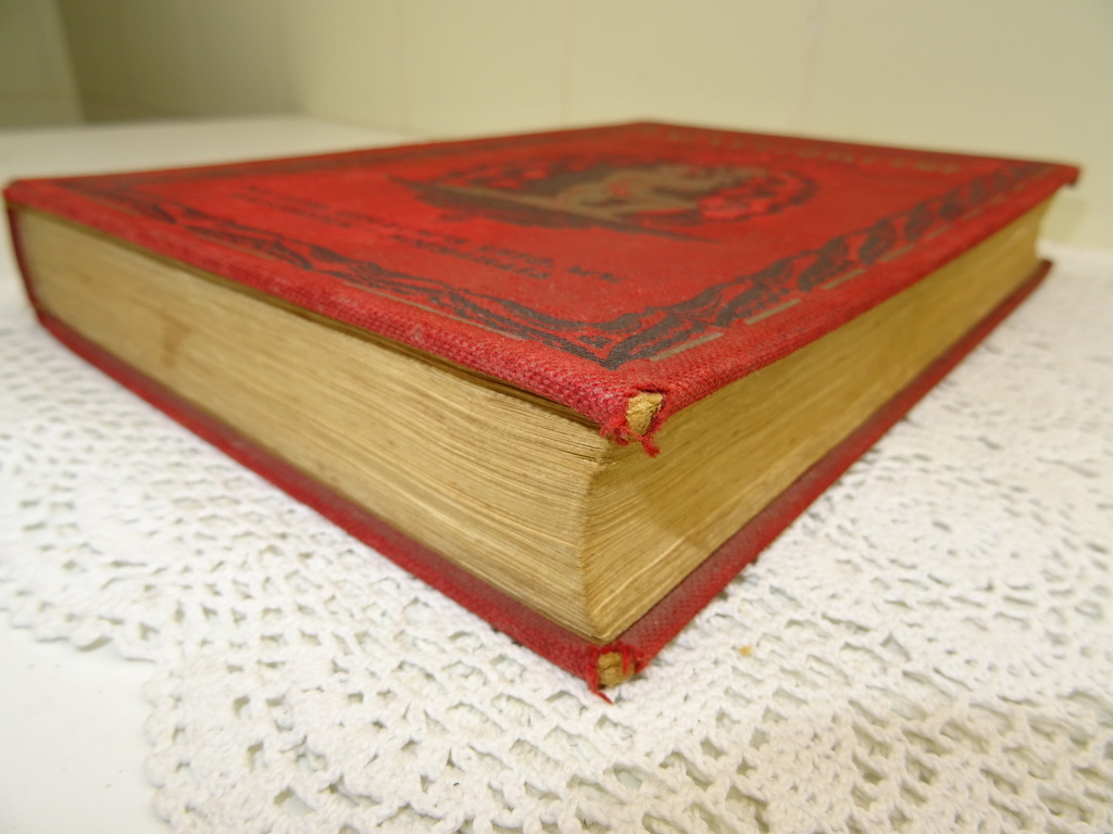 Populaire geneeskundige encyclopaedie - Afbeelding 36