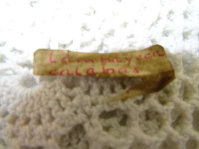 Bodemvondst Lambayeca calabas Peru