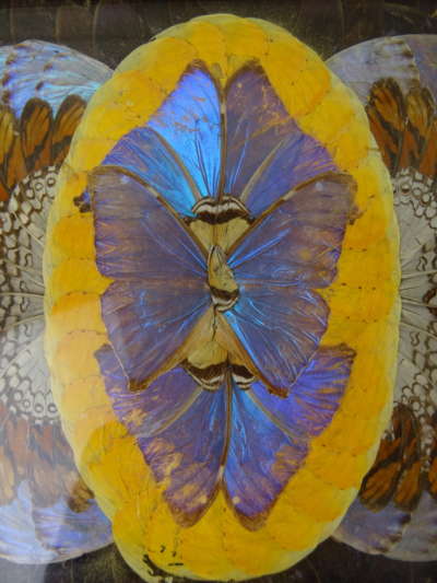 Antiek dienblad met vlinders Carlos Zipperer