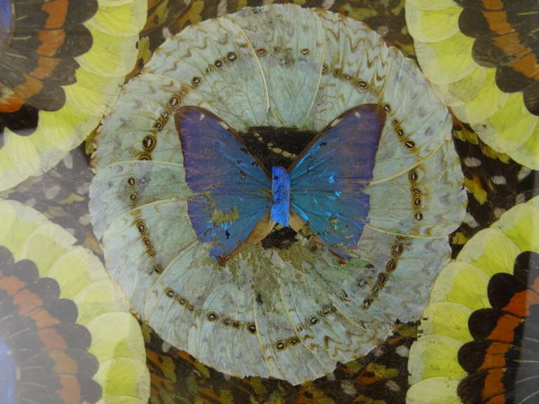 Antiek dienblad met vlinders Carlos Zipperer