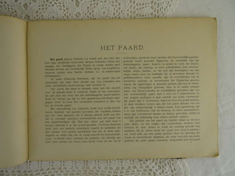 Het Paard Zijn Lichaamsbouw en zijne inwendige organen.