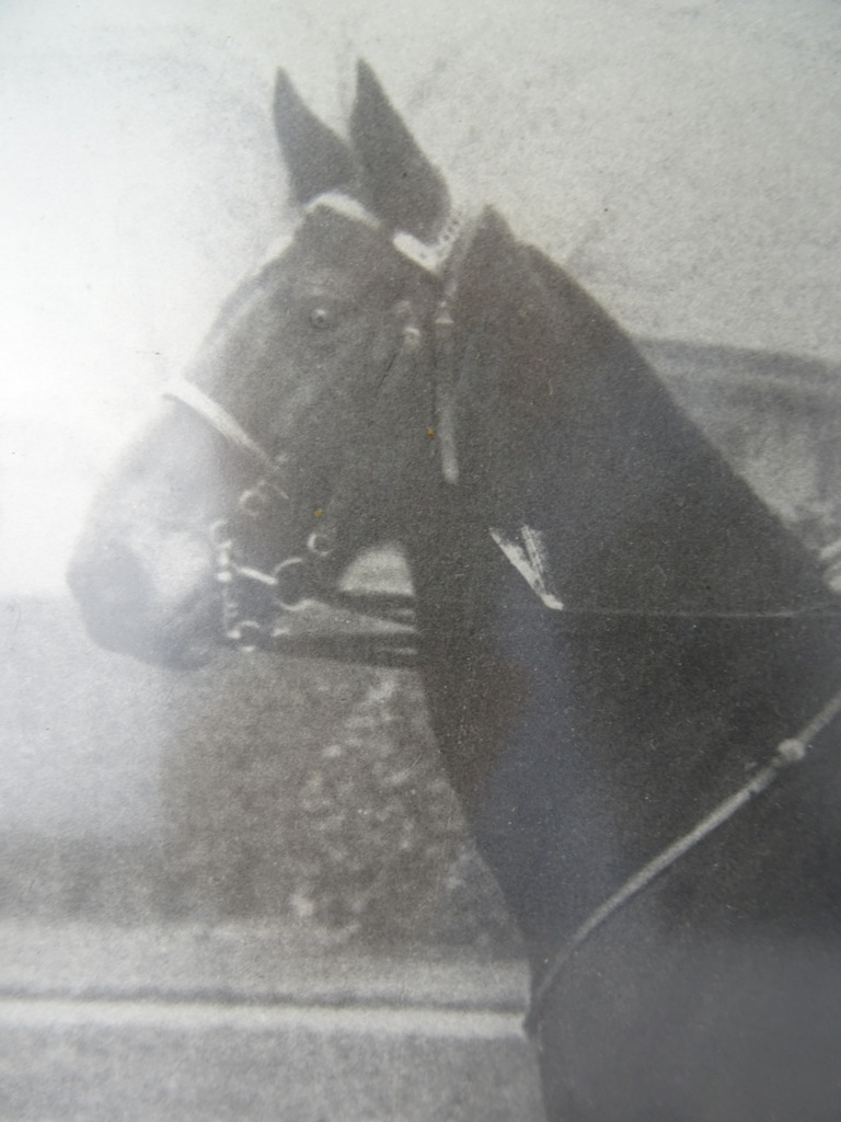 Antieke foto Marechaussee in lijst - Afbeelding 7