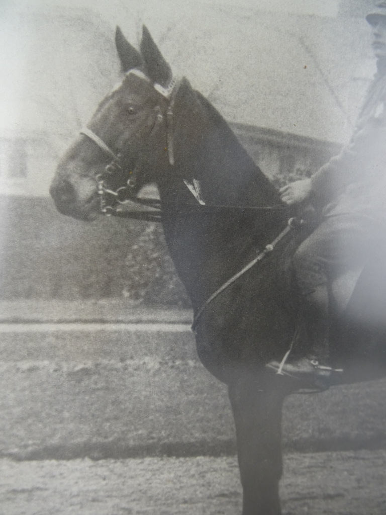 Antieke foto Marechaussee in lijst - Afbeelding 10