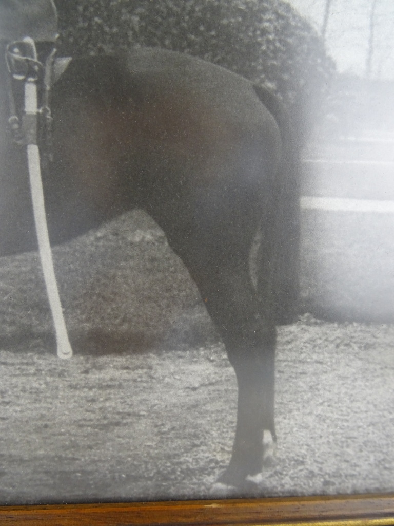 Antieke foto Marechaussee in lijst - Afbeelding 13