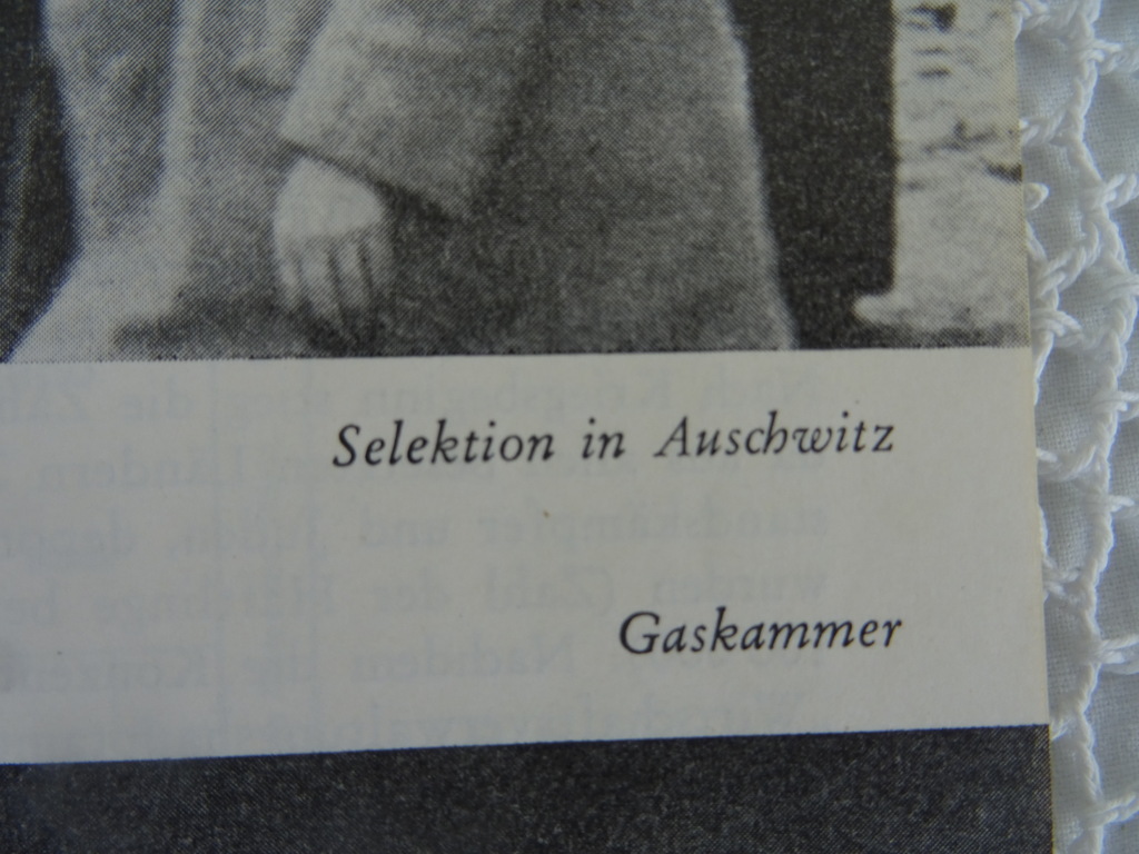 Das Lager Bergen-Belsen - Afbeelding 10