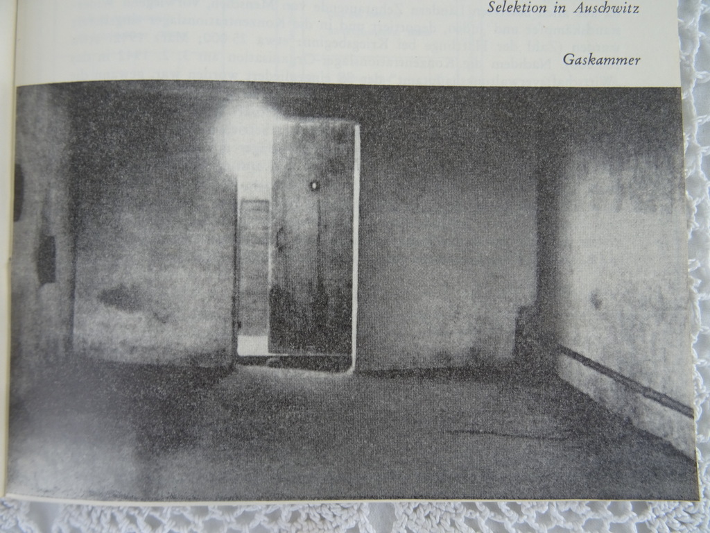 Das Lager Bergen-Belsen - Afbeelding 11