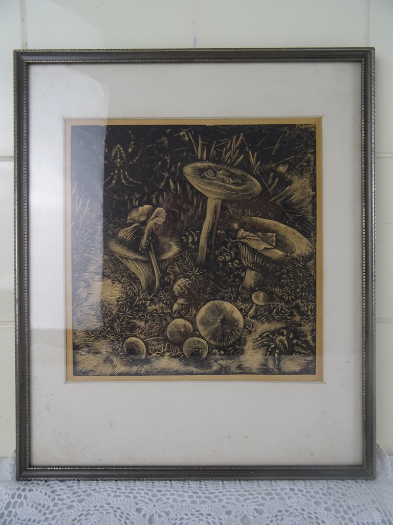 Antieke lithografie paddenstoelen