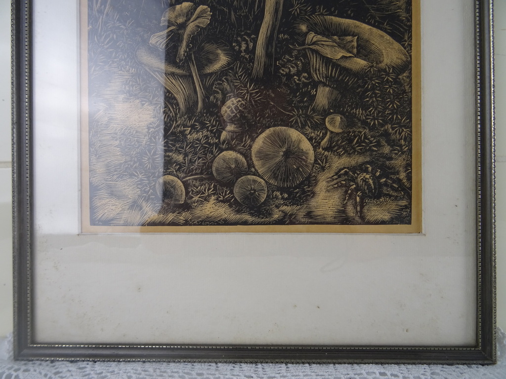 Antieke lithografie paddenstoelen - Afbeelding 3