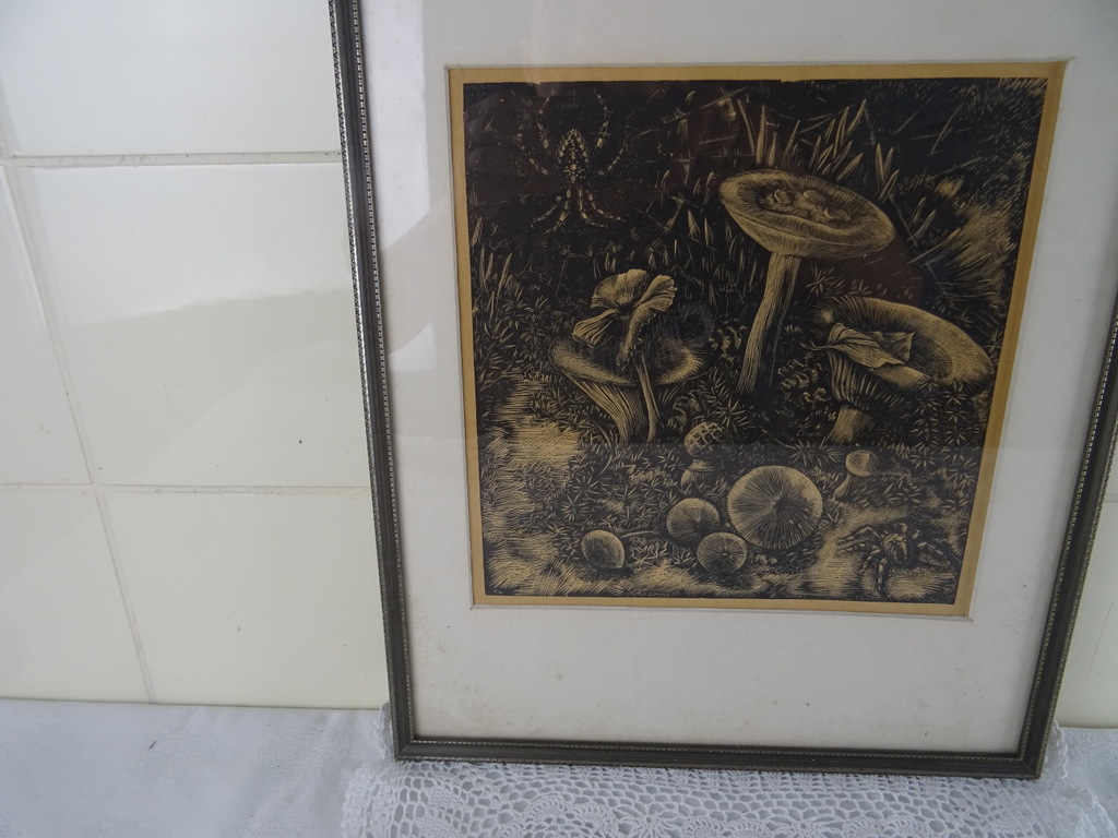 Antieke lithografie paddenstoelen - Afbeelding 4