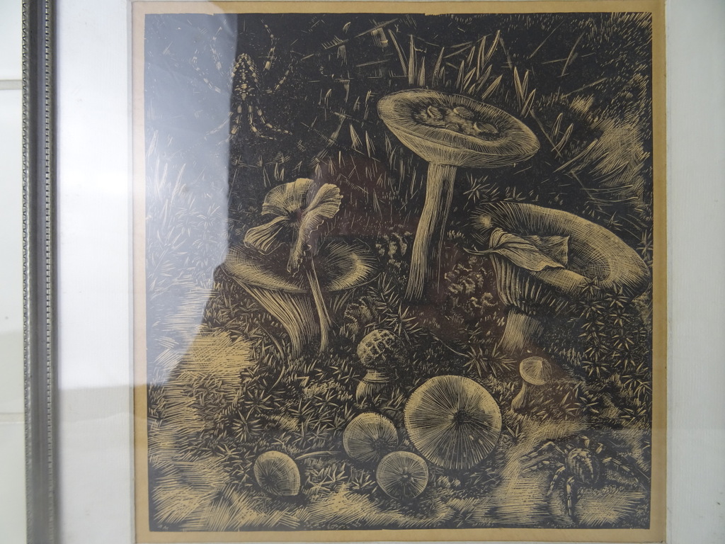 Antieke lithografie paddenstoelen - Afbeelding 5