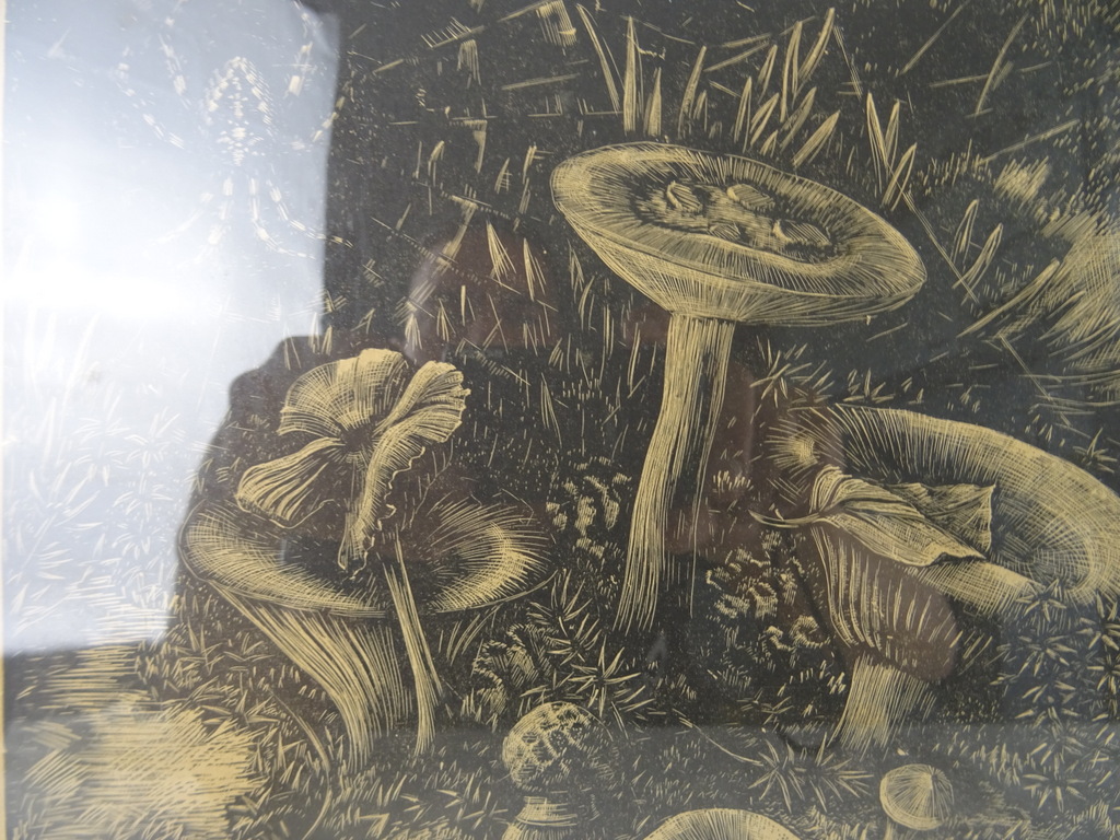 Antieke lithografie paddenstoelen - Afbeelding 7
