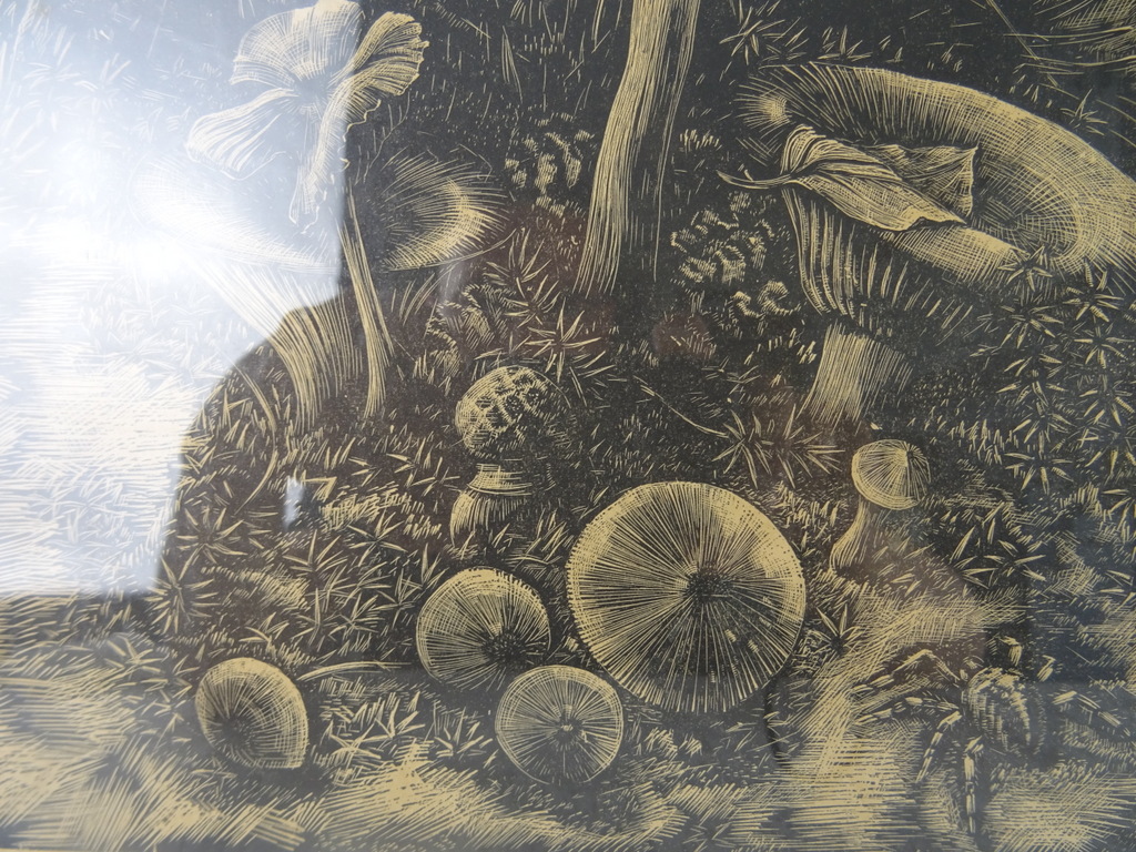 Antieke lithografie paddenstoelen - Afbeelding 8