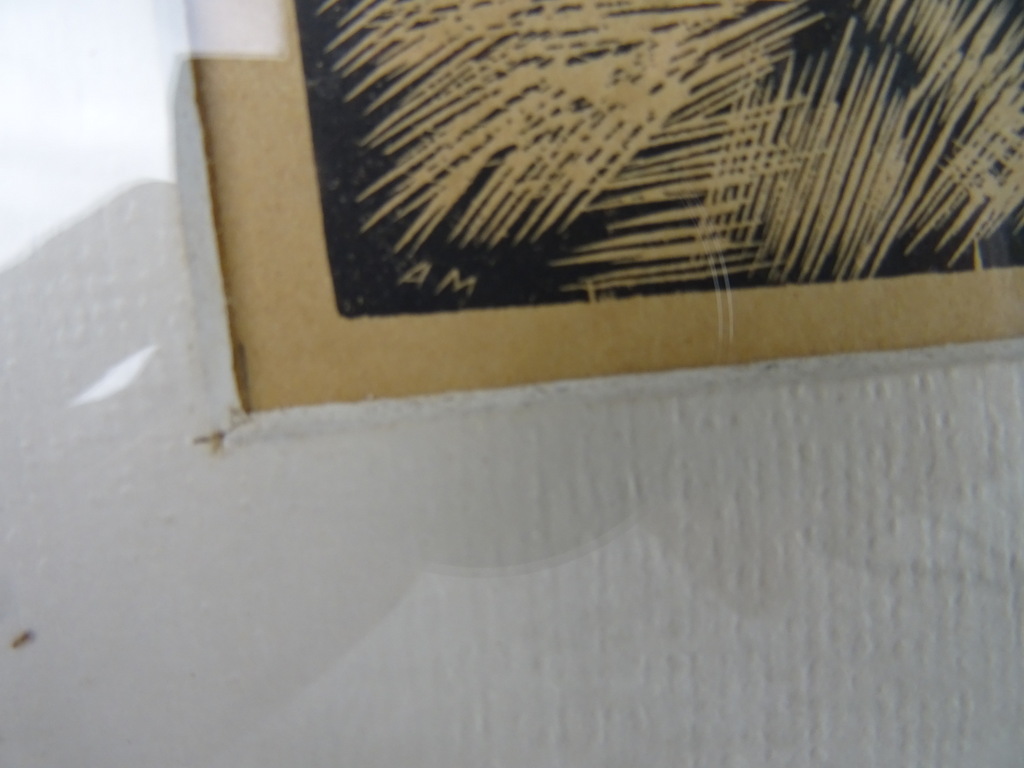 Antieke lithografie paddenstoelen - Afbeelding 9