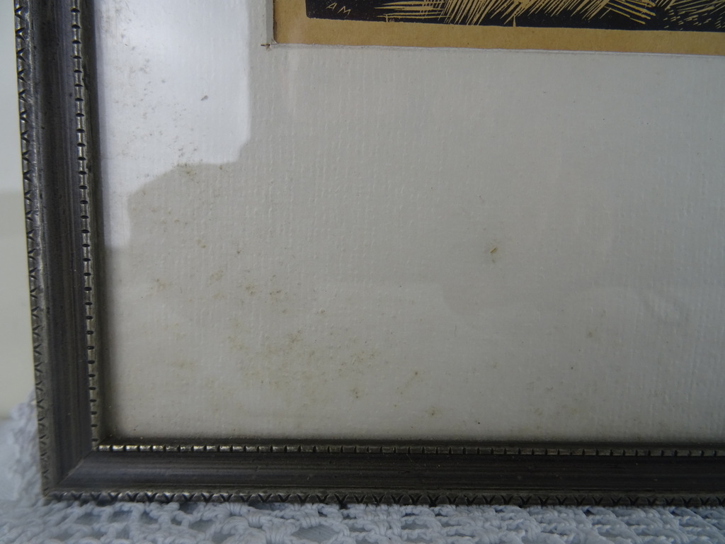 Antieke lithografie paddenstoelen - Afbeelding 10