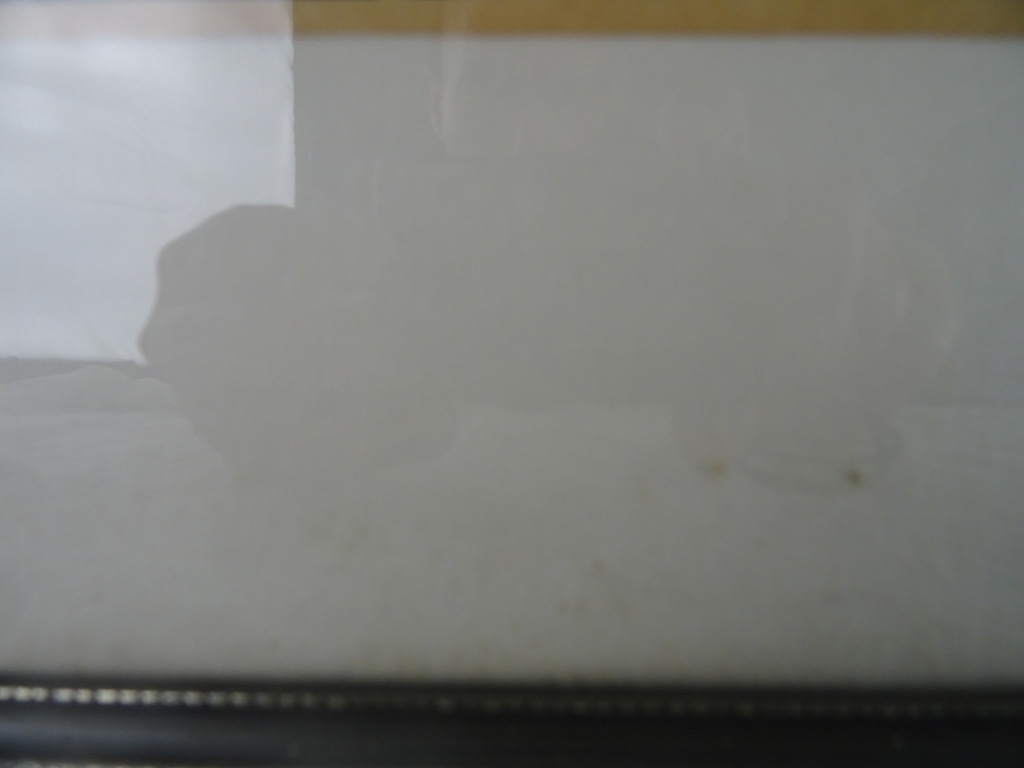 Antieke lithografie paddenstoelen - Afbeelding 11
