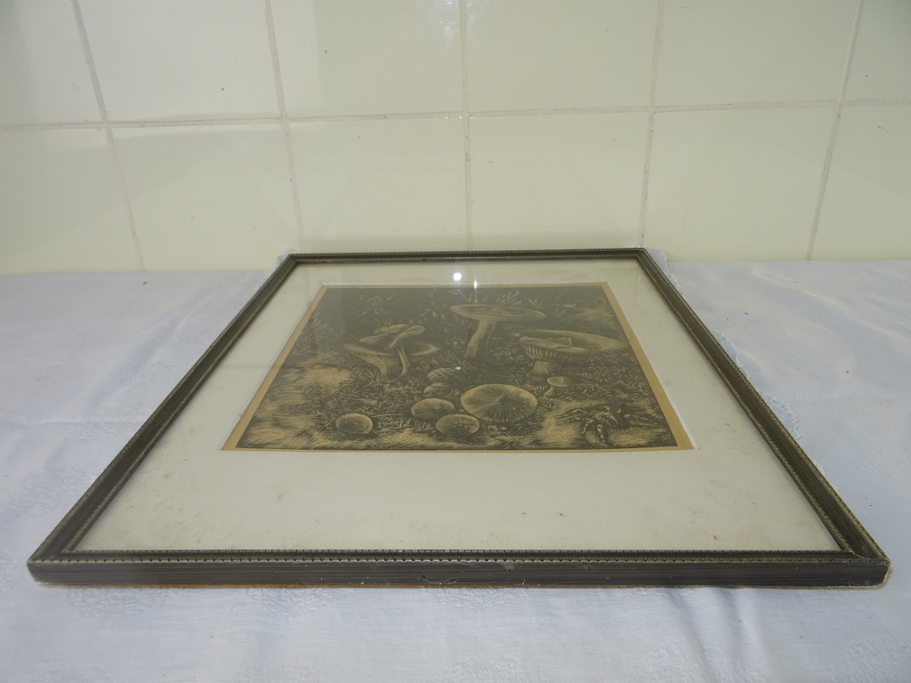 Antieke lithografie paddenstoelen - Afbeelding 13