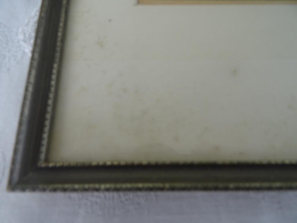 Antieke lithografie paddenstoelen - Afbeelding 14